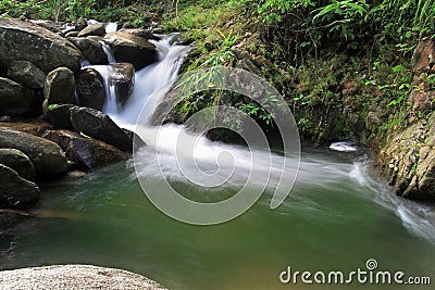 Small creek waterfall