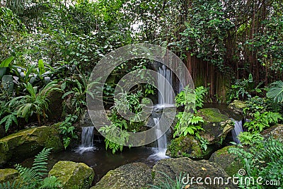 Small waterfalls in a tropical forest