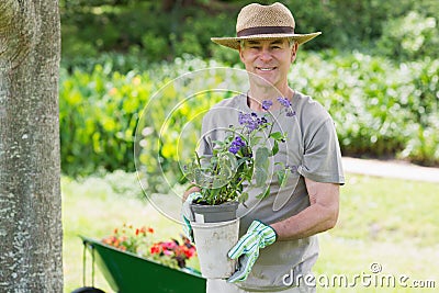 Smiling mature man engaged in gardening