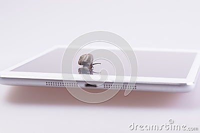 Snail on the device