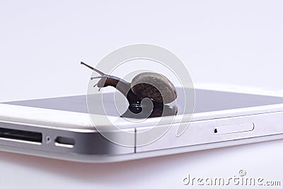 Snail on the device