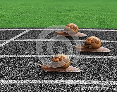 snails-race-sports-track-24249208.jpg