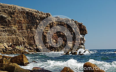 Snake Island cliffs