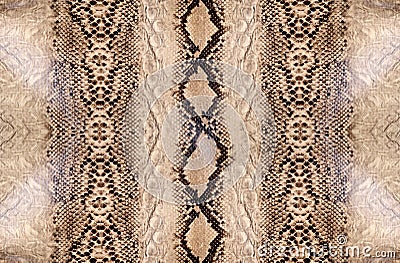 Snake skin, reptile