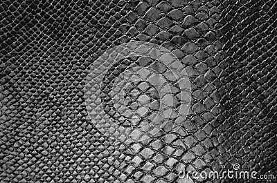 Snake skin texture