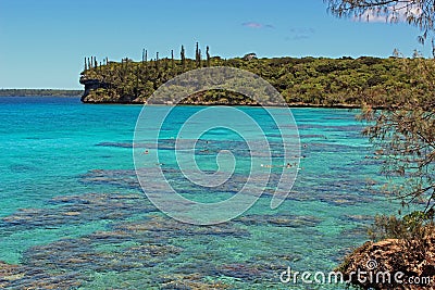 Snorkelling lagune in Lifou island, New Caledonia, South Pacific