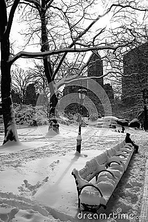 Snow covered bench in Central Park in New York