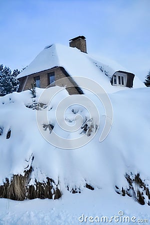 Snow covered thatched roof