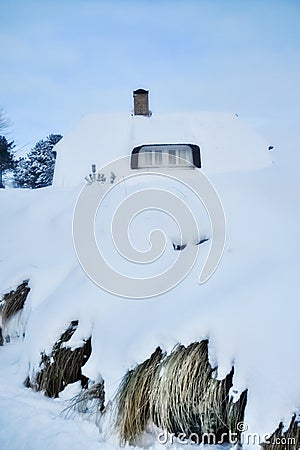 Snow covered thatched roof