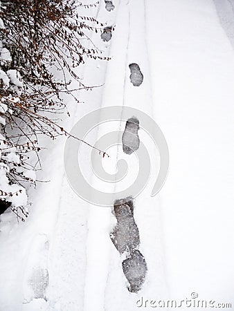 Snow Foot Prints