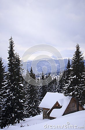 Snowy landscape in the mountains.