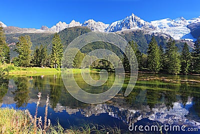 Snowy mountains and evergreen forests