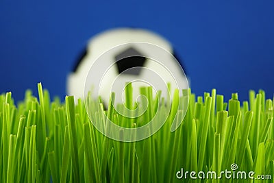 Soccer ball in grass