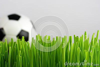 Soccer ball in grass