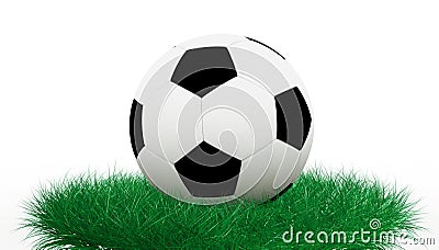 Soccer ball on grass