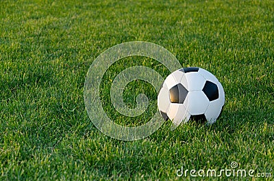 Soccer ball on green grass