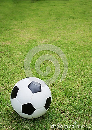 Soccer ball on green grass