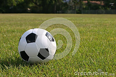 Soccer ball in playng field.