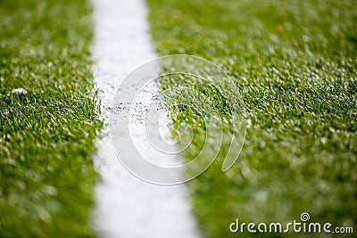 Soccer football field grass white line background texture