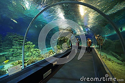 Sochi Discovery World Aquarium