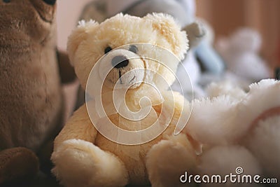 Soft Stuffed Teddy Bear Toy