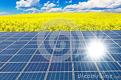 Solar cells and rape field
