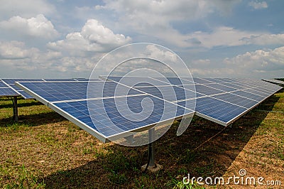 Solar Panels in the field