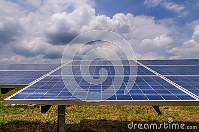 Solar panels in green field
