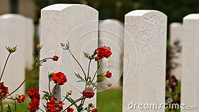 Military graves in Normandy
