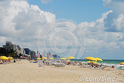 South Florida Beach