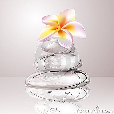 Zen stones and frangipani flower