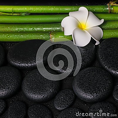 Spa setting of zen basalt stones, white flower frangipani