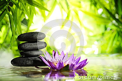 Spa still life with lotus and zen stone on water