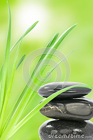 Spa stones and green leaves