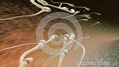 Here Fallopian tube sperm perfusion apologise Matchless Fallopian tube sperm perfusion urbanization any