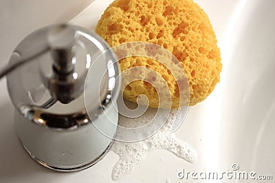 Sponge soap dispenser and suds