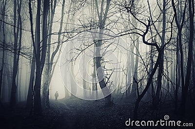 Spooky forest with man walking on a dark path