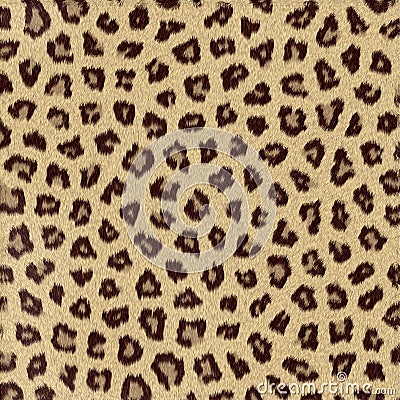 Spotted animal texture leopard