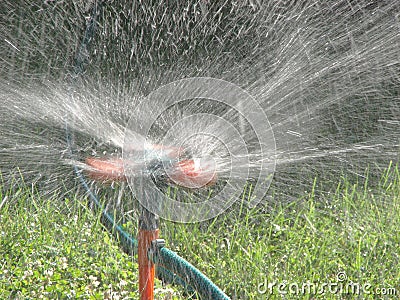 Sprayer watering green grass lawn