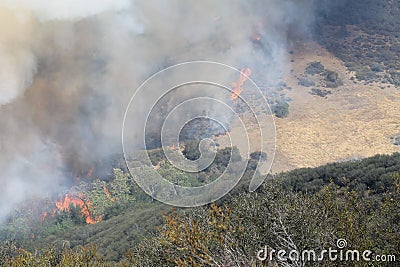 The Spring Fire ~ 2013 ~ Flames Racing Across Valley