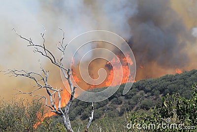 The Spring Fire ~ 2013 ~ Huge Flames