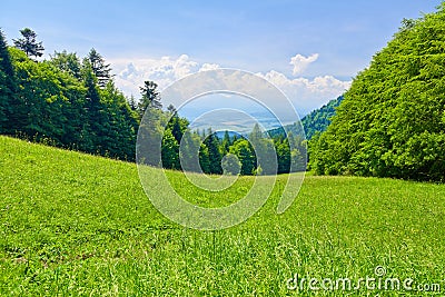 Spring landscape. View from mountain pass.