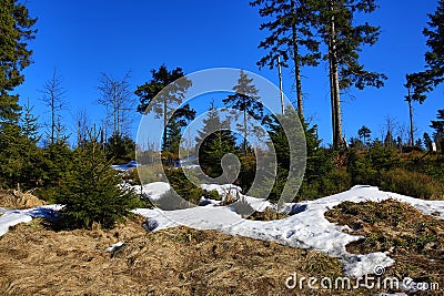 Spring Lanscape, Špičák, ski resort, Bohemian Forest (Šumava), Czech Republic