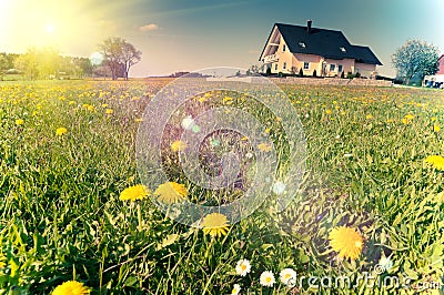 Spring meadows around a rural house