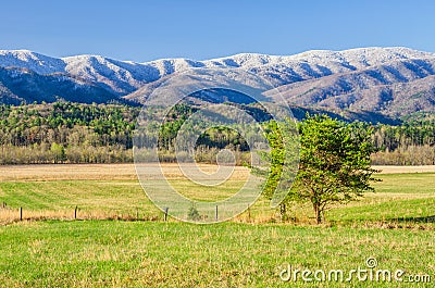 Spring snow, Cades Cove, Great Smoky Mountains