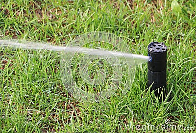 Sprinkler