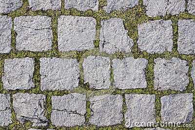 Square stones texture with grass