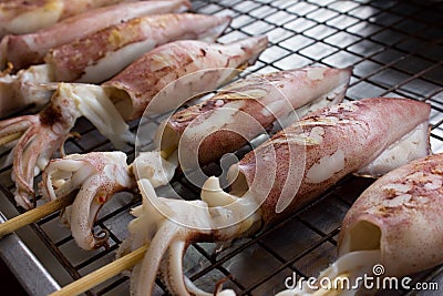 Squid sea food