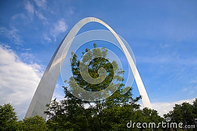 St. Louis arch and tree