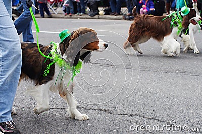 St. Patrick s day parade